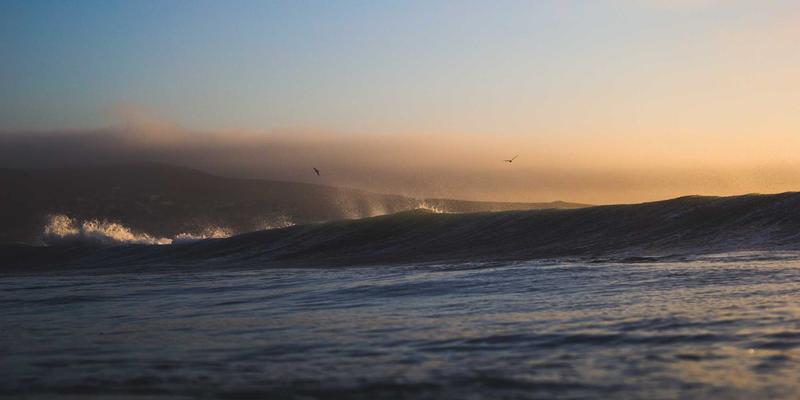باقة الزفاف الشاملة