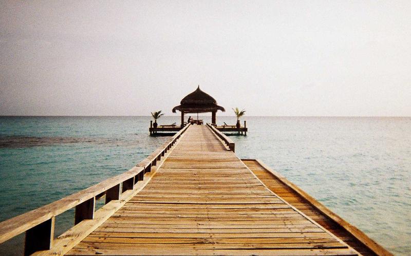 استراحة الورود